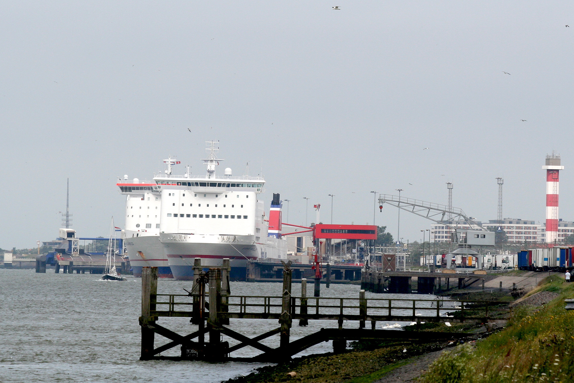 Veerboten naar Hoek van Holland - Routes, Kaartjes & Dienstregelingen